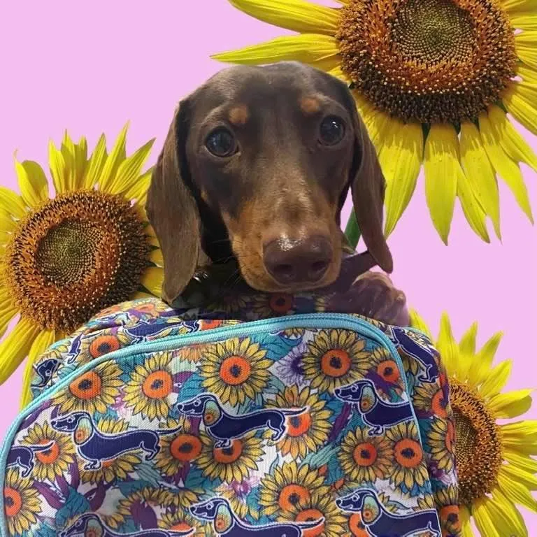 Got It Covered Backpack - Lisa Pollock Dachshunds