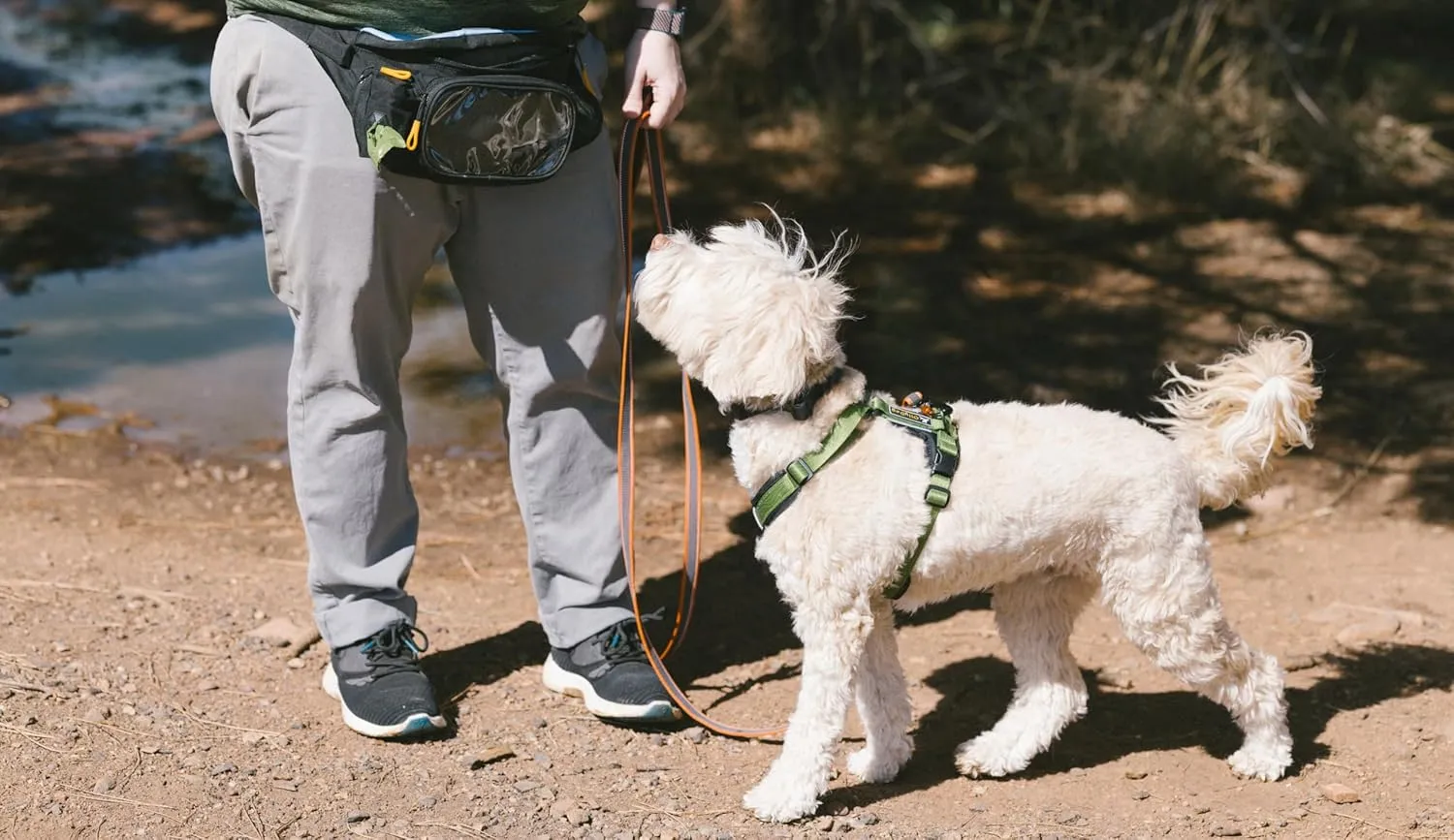 OllyDog Trailblazer Pack | Fanny Pack | Dog Treat Pouch | Includes Rubber Fetch Ball | Water-Resistant | Poop Bag Dispenser | Hands-Free | Dog Walking & Training