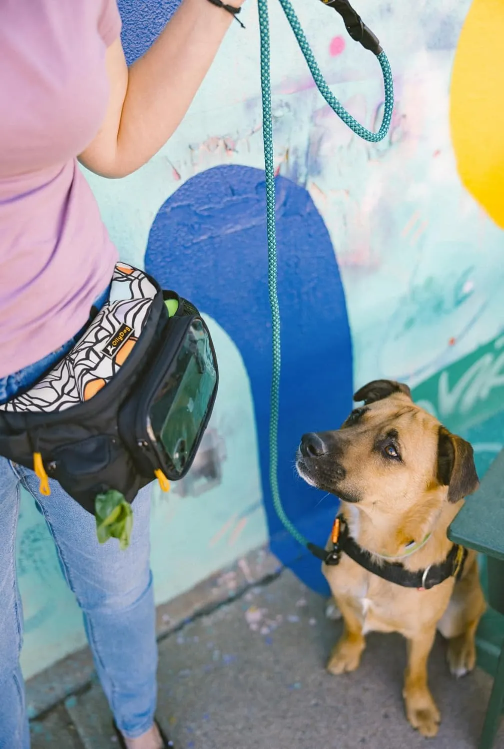 OllyDog Trailblazer Pack | Fanny Pack | Dog Treat Pouch | Includes Rubber Fetch Ball | Water-Resistant | Poop Bag Dispenser | Hands-Free | Dog Walking & Training