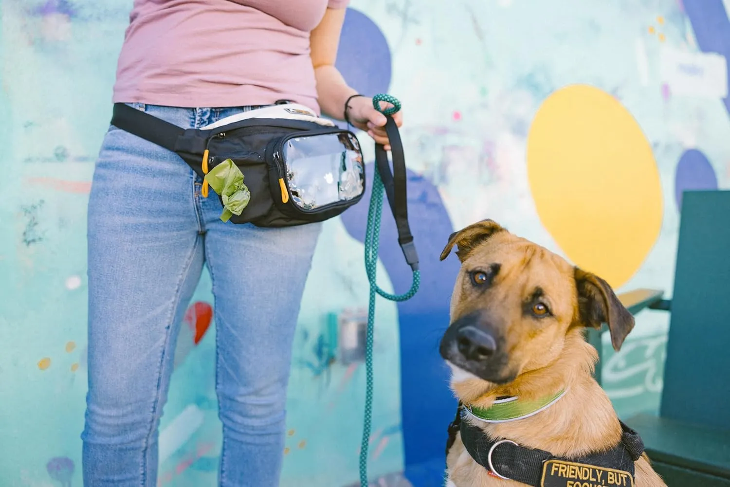 OllyDog Trailblazer Pack | Fanny Pack | Dog Treat Pouch | Includes Rubber Fetch Ball | Water-Resistant | Poop Bag Dispenser | Hands-Free | Dog Walking & Training