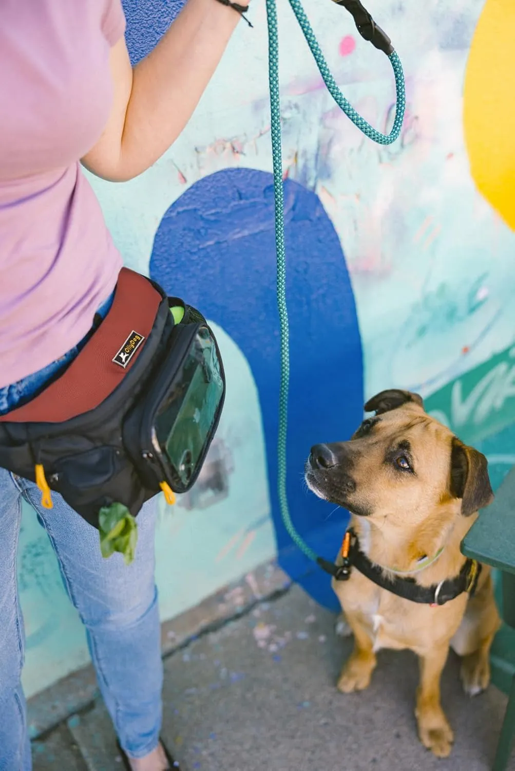 OllyDog Trailblazer Pack | Fanny Pack | Dog Treat Pouch | Includes Rubber Fetch Ball | Water-Resistant | Poop Bag Dispenser | Hands-Free | Dog Walking & Training