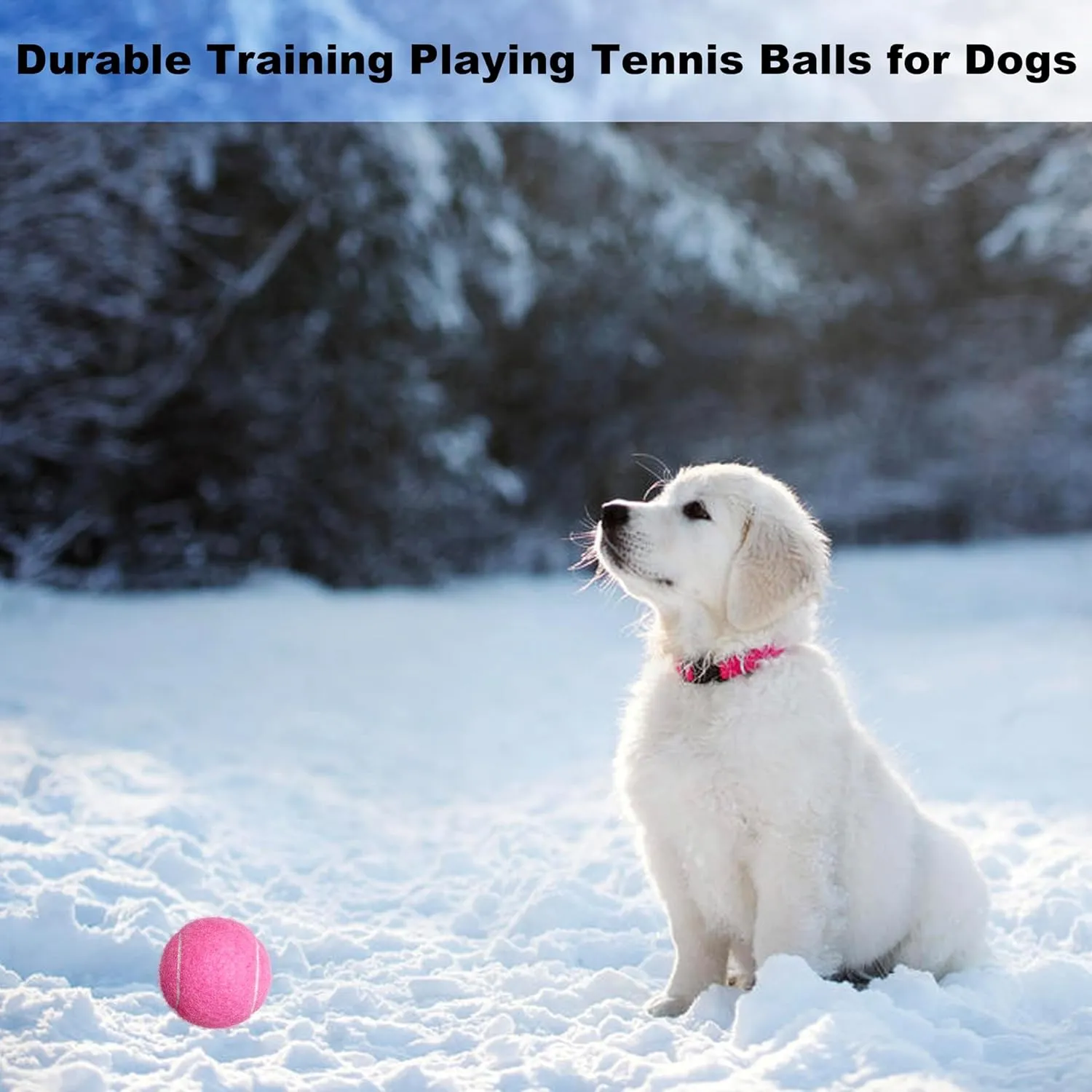 Tennis Balls, 12 Packs Practice Tennis Balls for Beginner, Training Playing Tennis Balls for Dogs, Come with Mesh Carry Bag