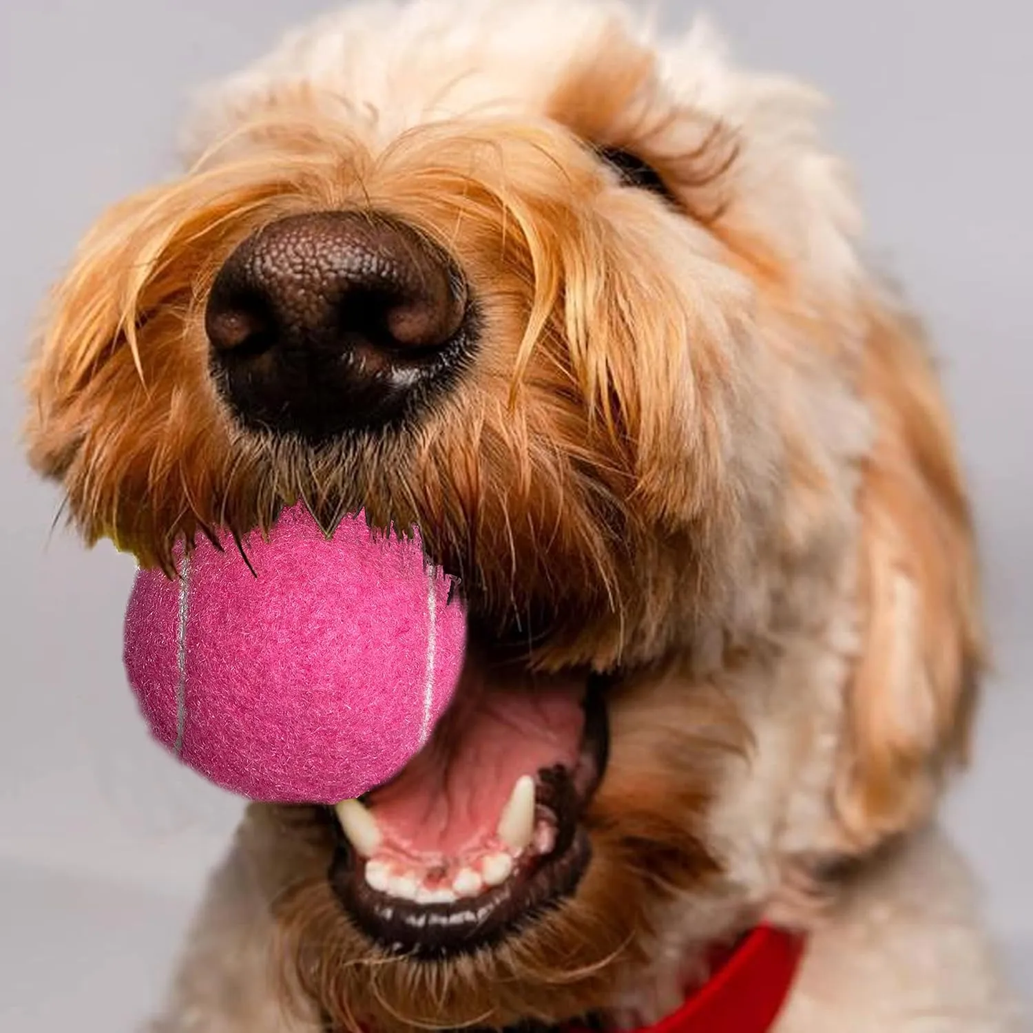 Tennis Balls, 12 Packs Practice Tennis Balls for Beginner, Training Playing Tennis Balls for Dogs, Come with Mesh Carry Bag